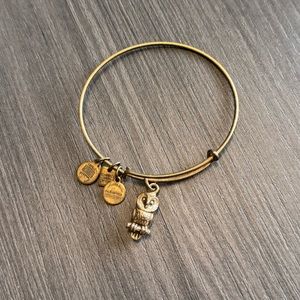 Alex and Ani Owl bracelet